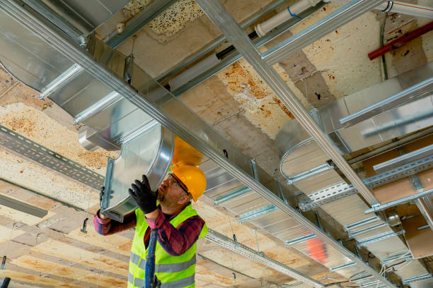 Best Best HVAC Companies  in Haliimaile, HI